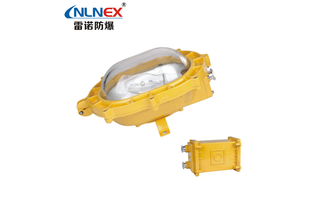 BFE8120 內(nèi)場強(qiáng)光防爆應(yīng)急燈