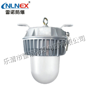 防爆燈 防爆燈