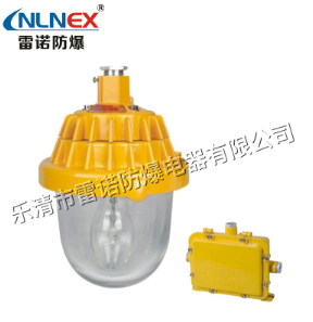 led防爆平臺燈 led防爆平臺燈